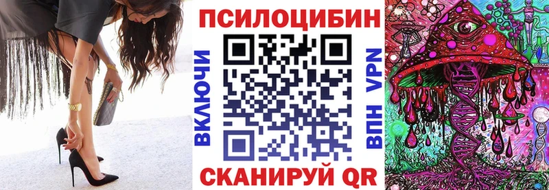 KRAKEN ТОР  Дальнереченск  Псилоцибиновые грибы Psilocybe 