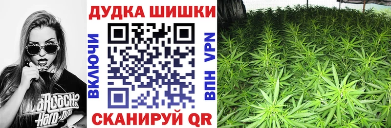 Бошки Шишки THC 21% Дальнереченск